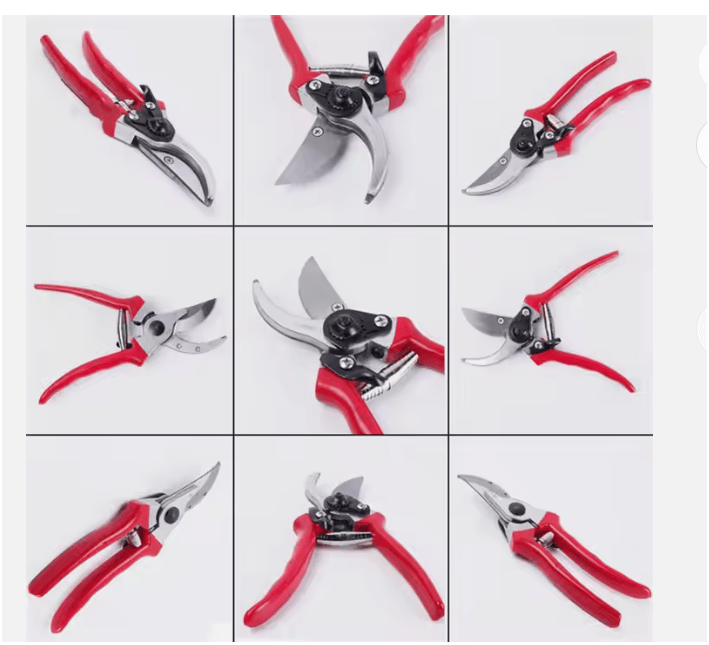 Top Pruning Trends to Watch in 2025: Expert Tips for the Modern Gardener